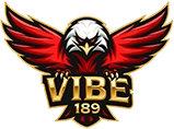 VIBE189 Logo